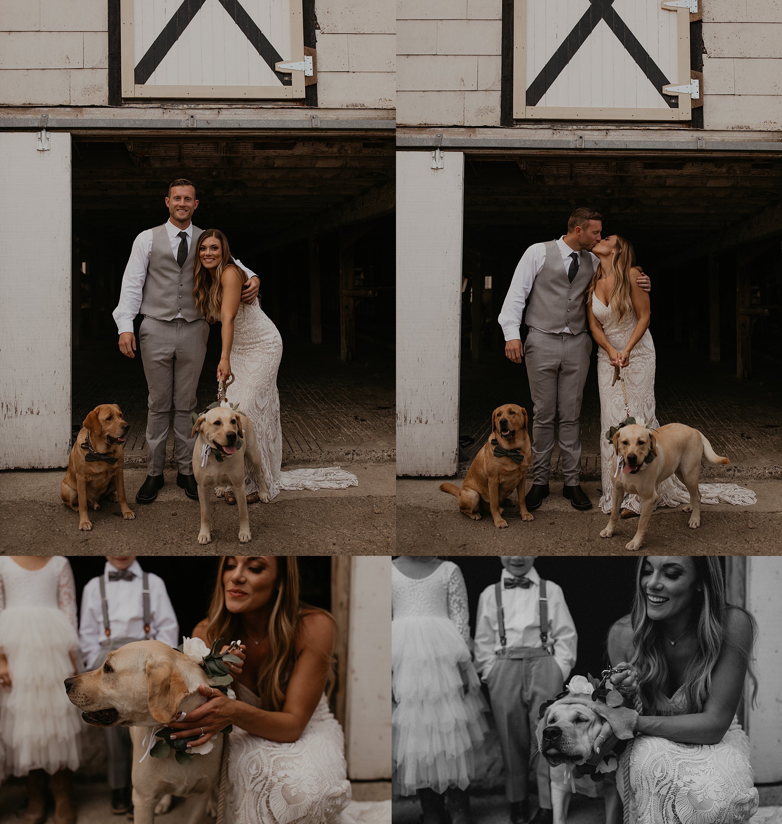 rustic bellingham farm wedding with dogs